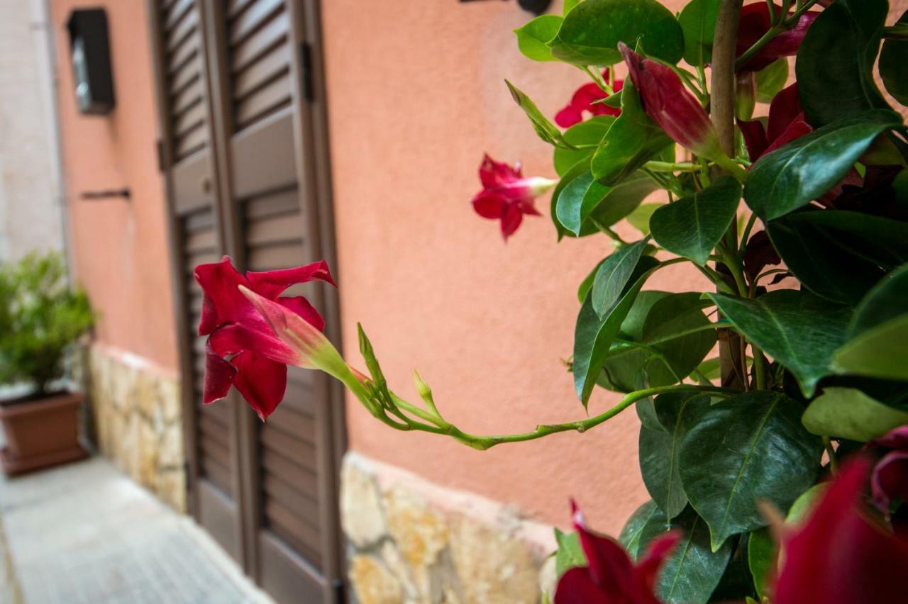 'A Cumerdia - Casa Vacanze Aparthotel Castellammare del Golfo Exterior foto